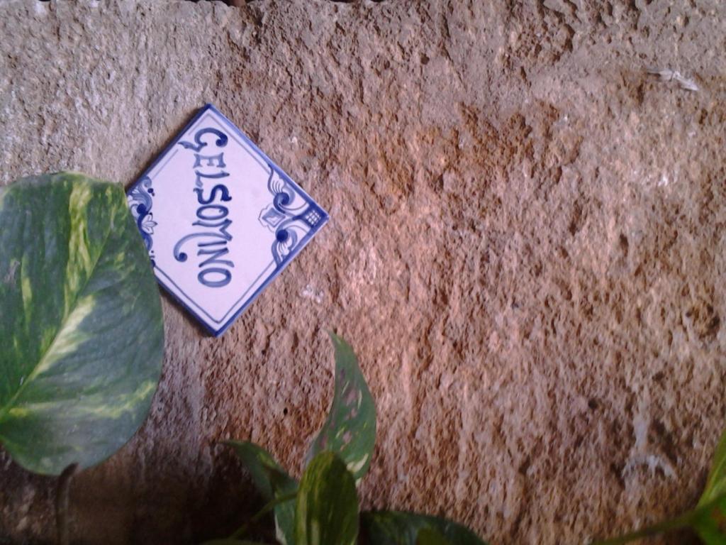 דירות טרפאני Il Cortile Fiorito מראה חיצוני תמונה