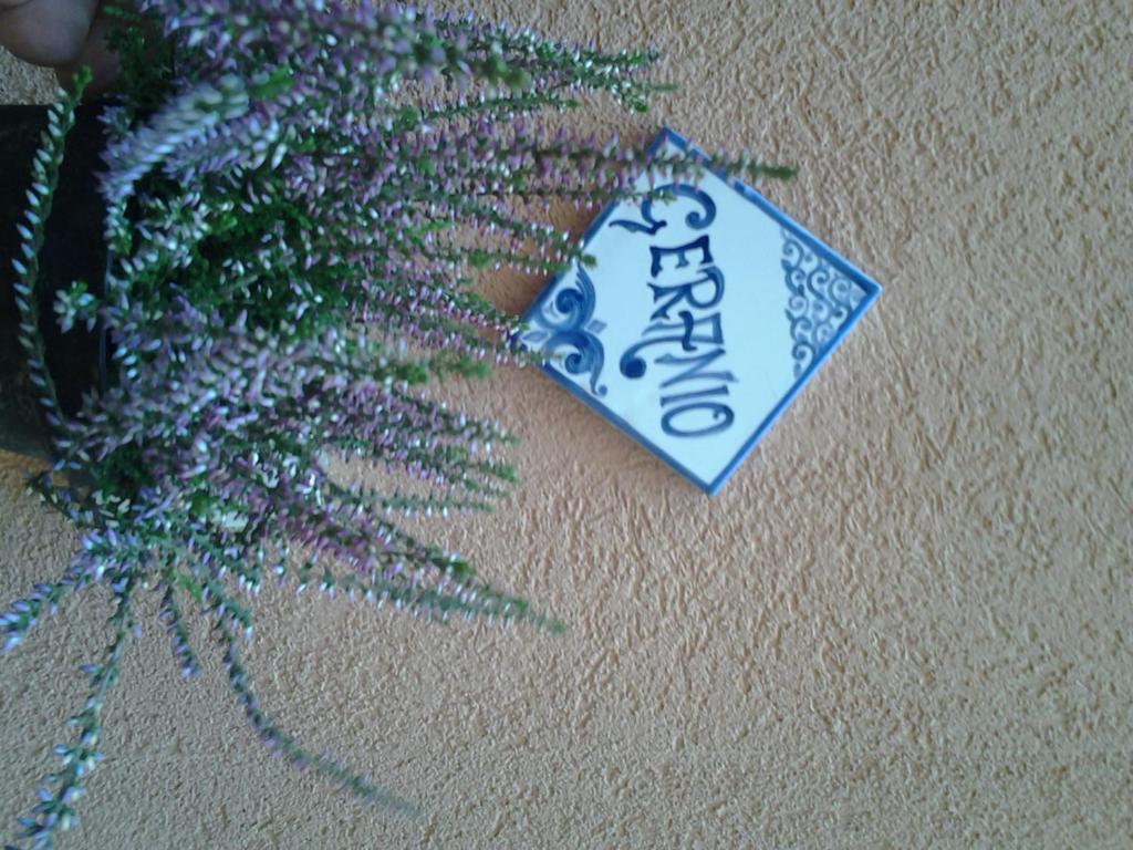 דירות טרפאני Il Cortile Fiorito מראה חיצוני תמונה